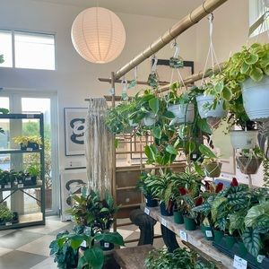 Meet your Posher, Aislyn